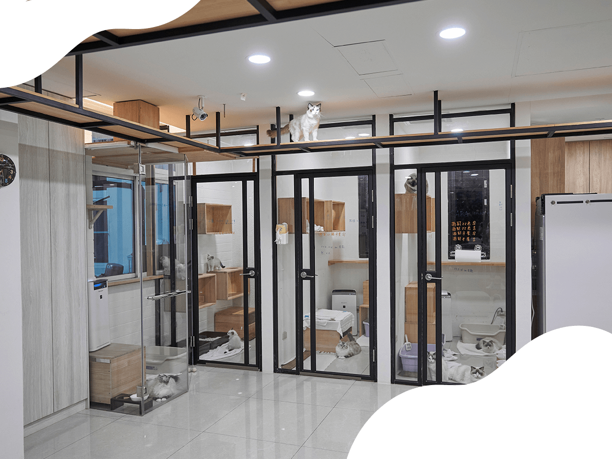 關於亞果布偶貓舍